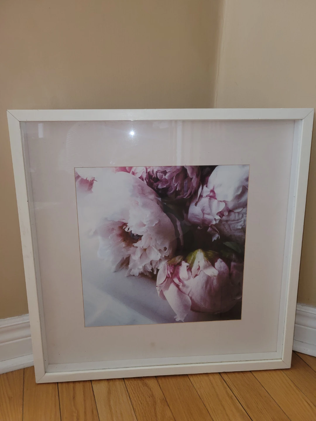 Framed Art Floral Prints 21"x21"x1" framed glass - photo 2