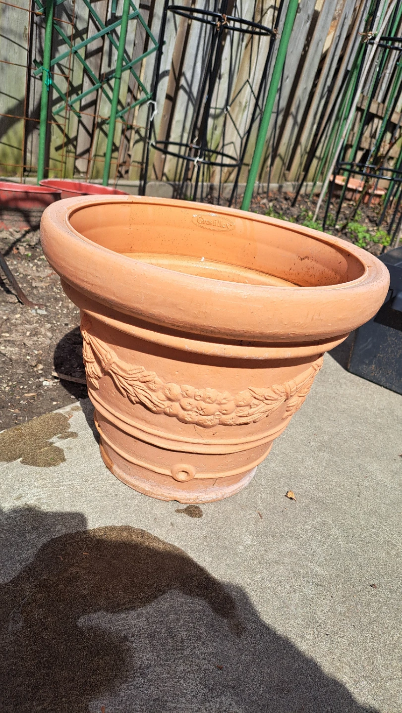Terracotta Pot with Raised Floral Design