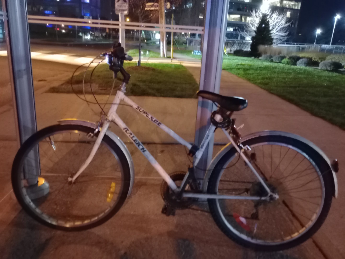 Raleigh Superbe Women's Bicycle