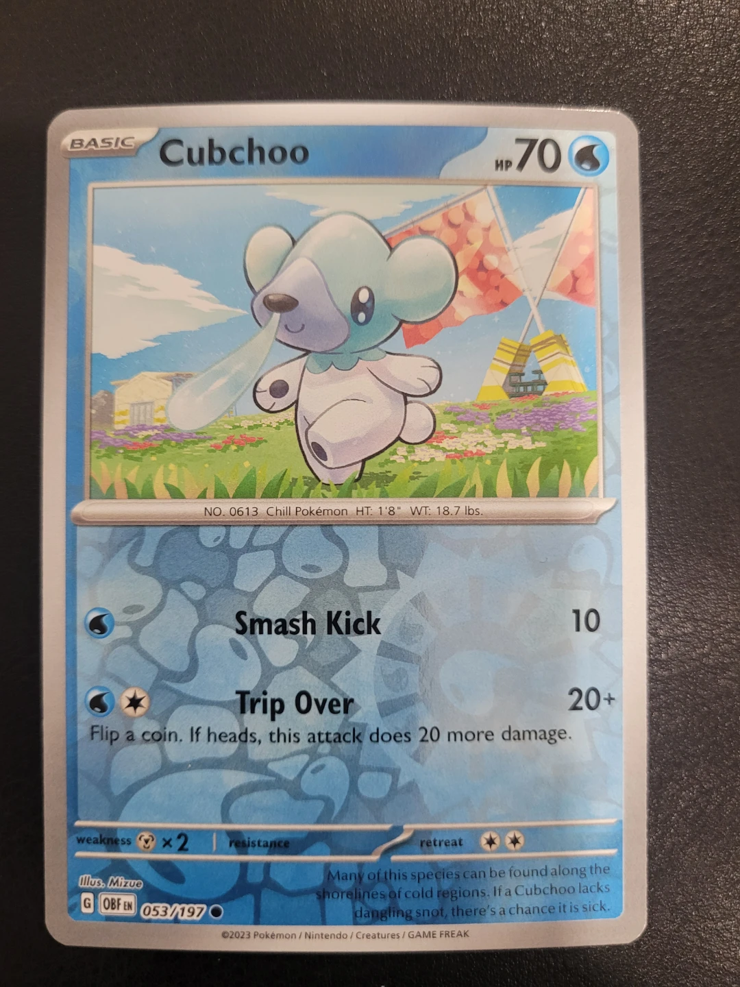 Cubchoo Pokémon Card