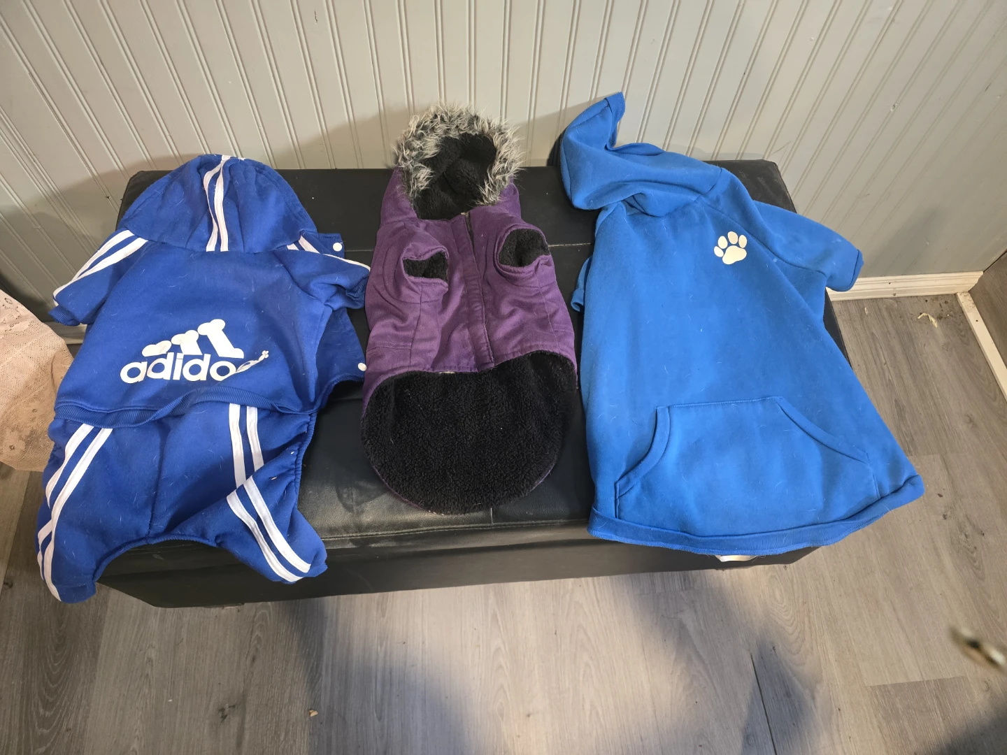 Bundle of 3 Dog Hoodies (Adidas Style, Purple, Blue Paw Print)