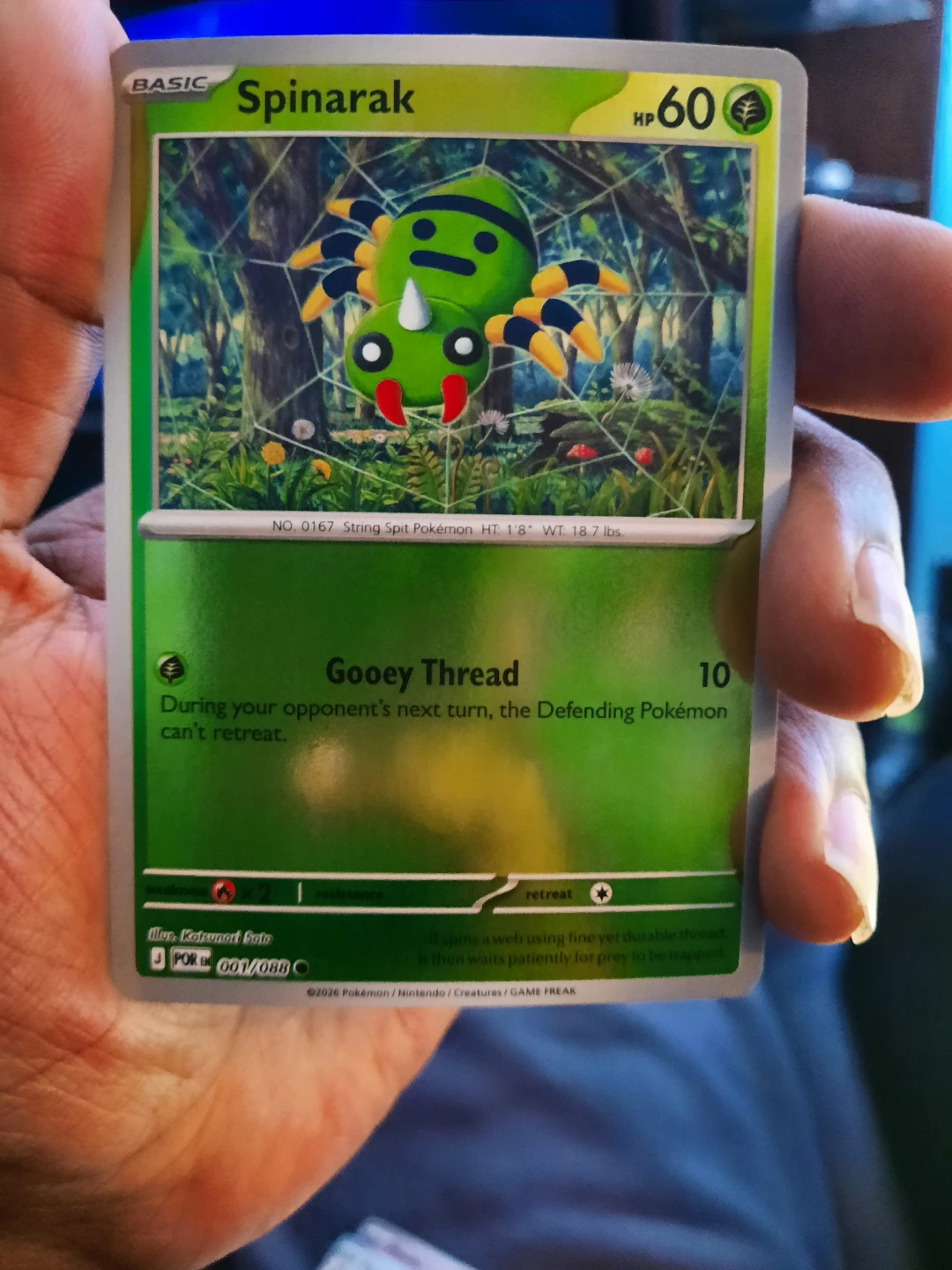 Pokemon TCG Spinarak Card