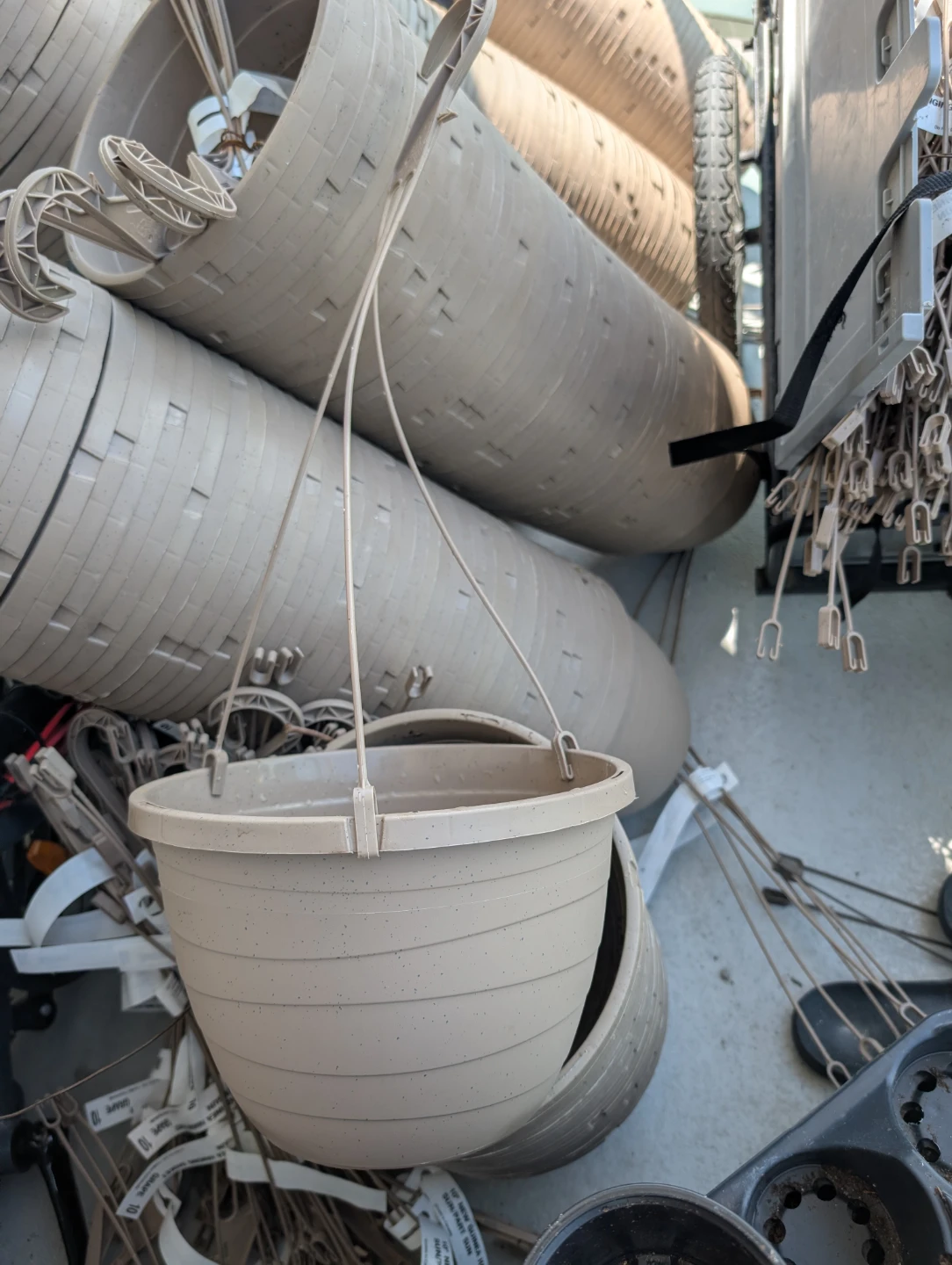 10” Hanging Pots + Nursery Trays & 4” Pots — 10 for $10