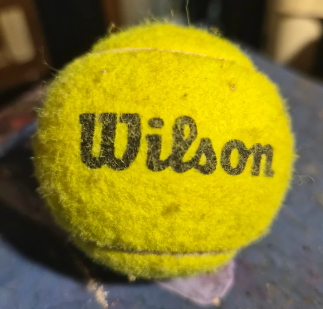 Wilson Tennis Ball