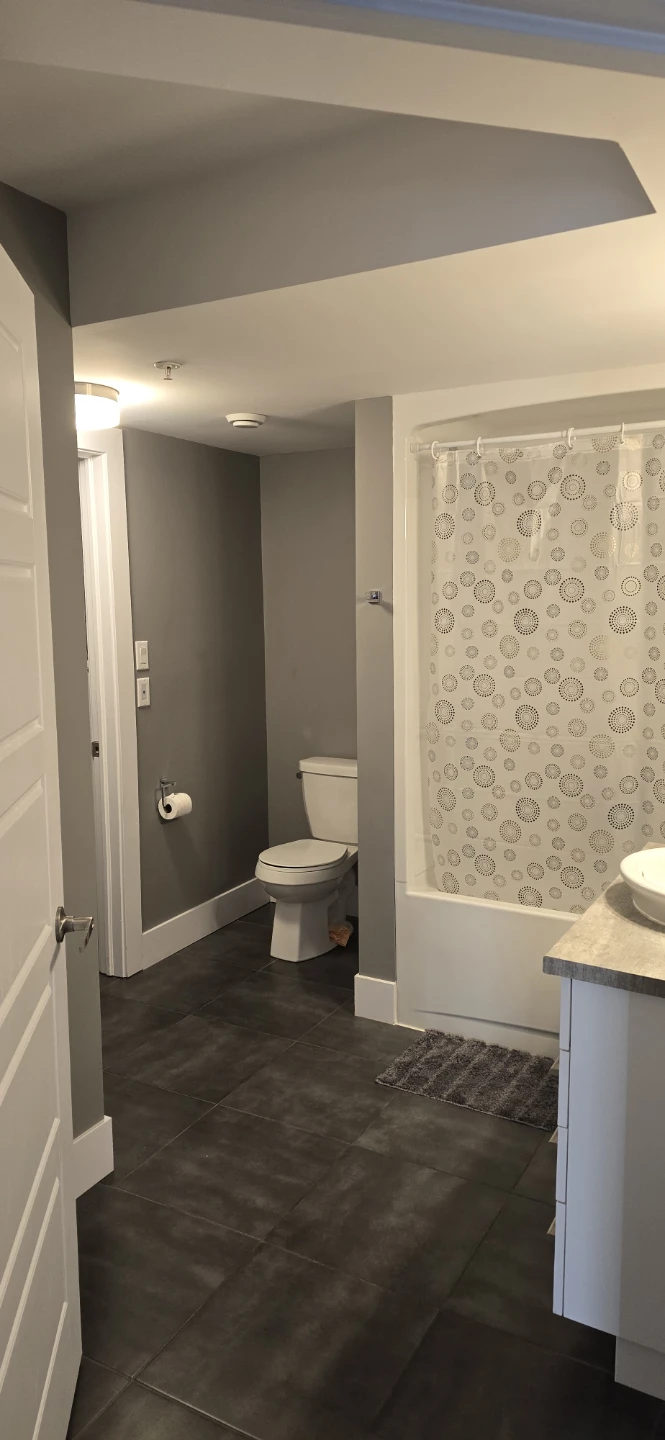Private room in a 2 bedroom 1 bathroom apartment for rent - photo 5
