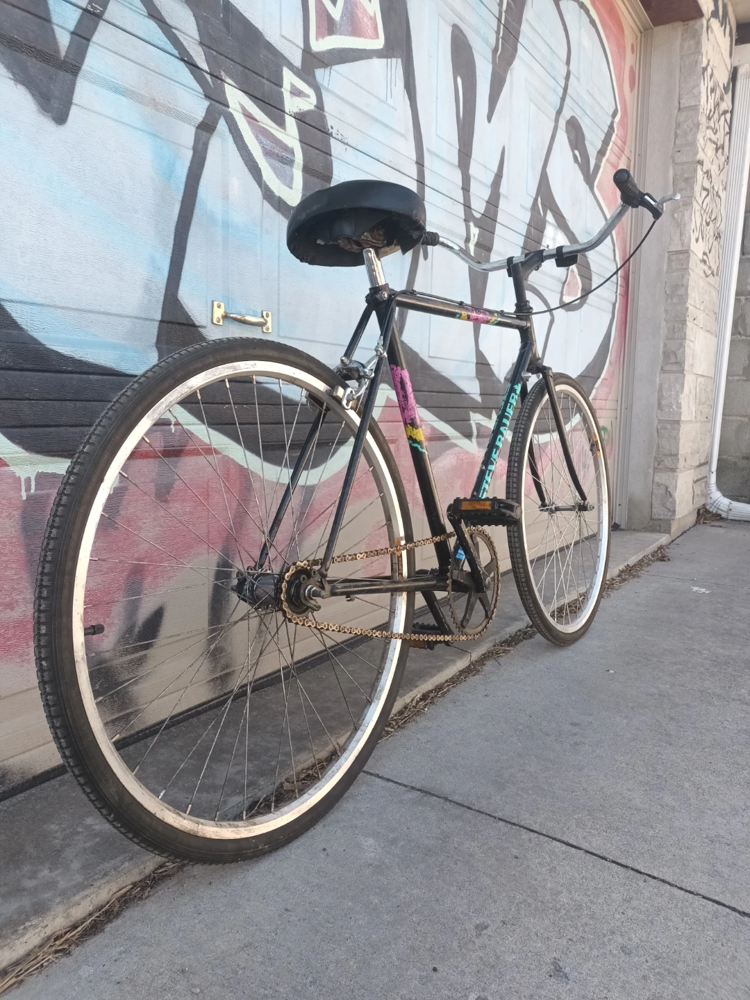 SteveBauer Single Speed Bike - photo 3