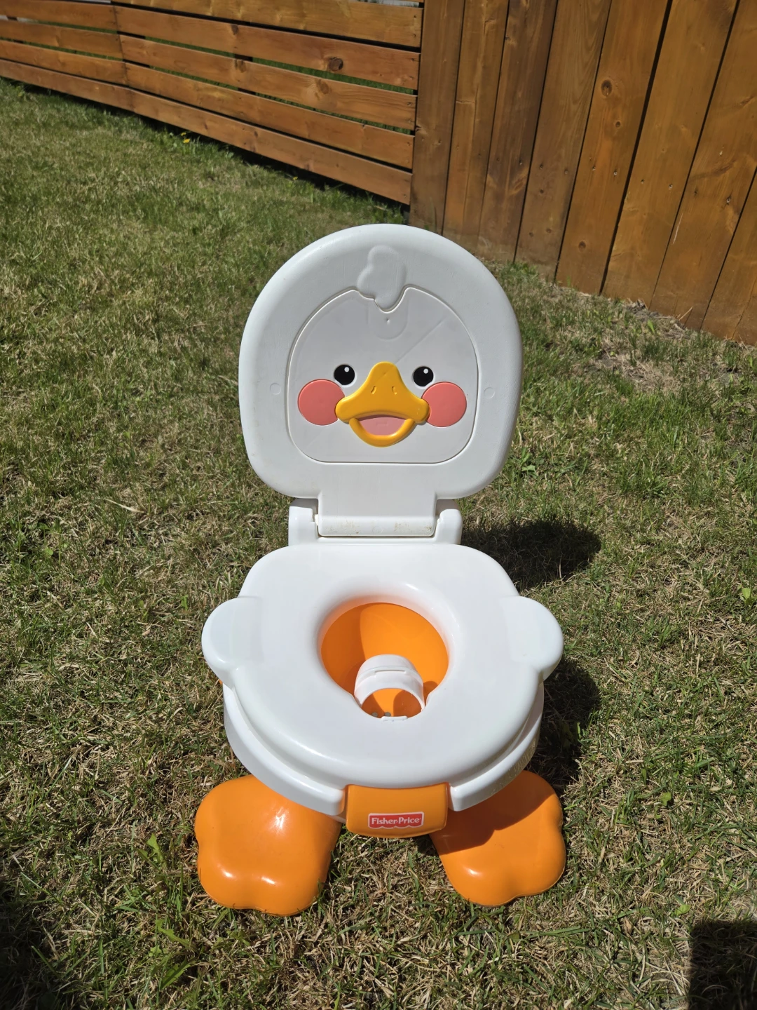 Fisher-Price Potty Training Seat - Duck Design - photo 3