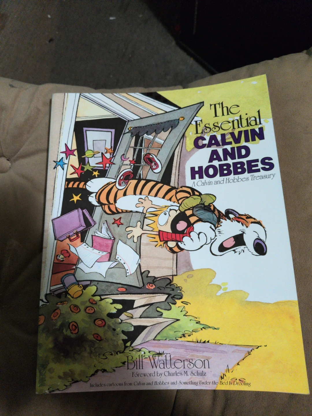 The Essential Calvin and Hobbes: A Calvin and Hobbes Treasury