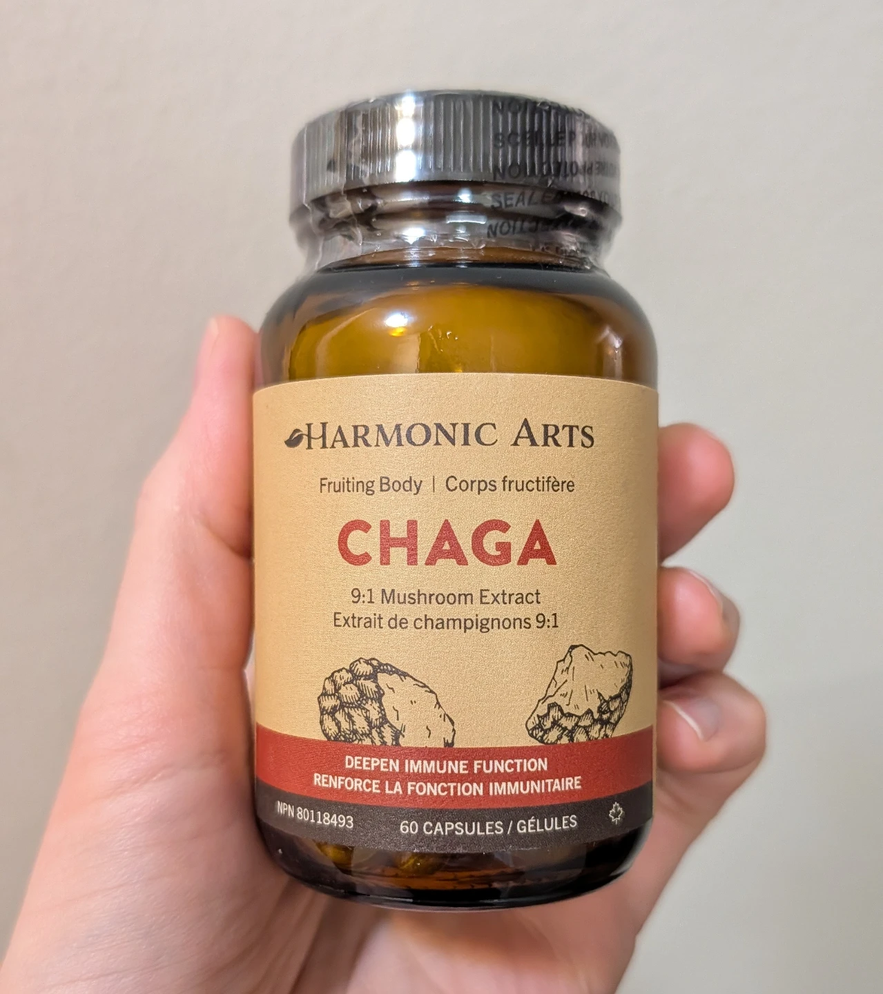 Chaga Mushroom Capsules