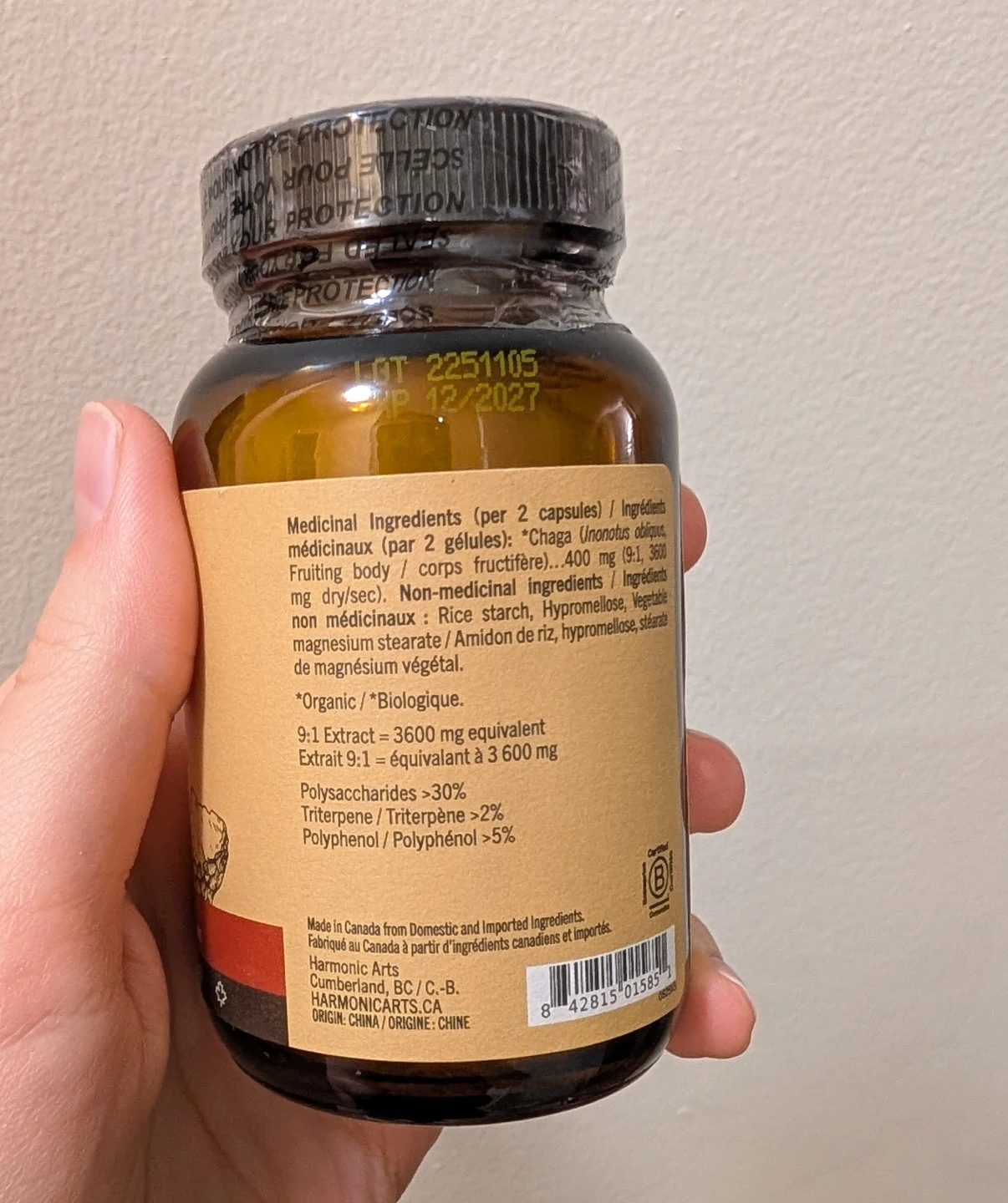 Chaga Mushroom Capsules - photo 2