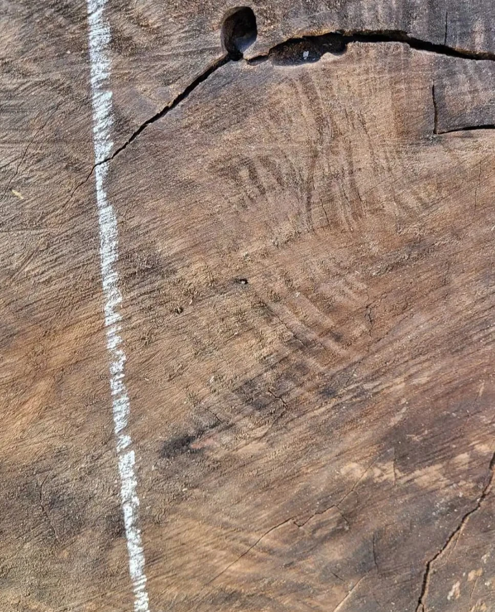Live Edge Claro Walnut Wood Slab - Approx. 58" x 40" - photo 2