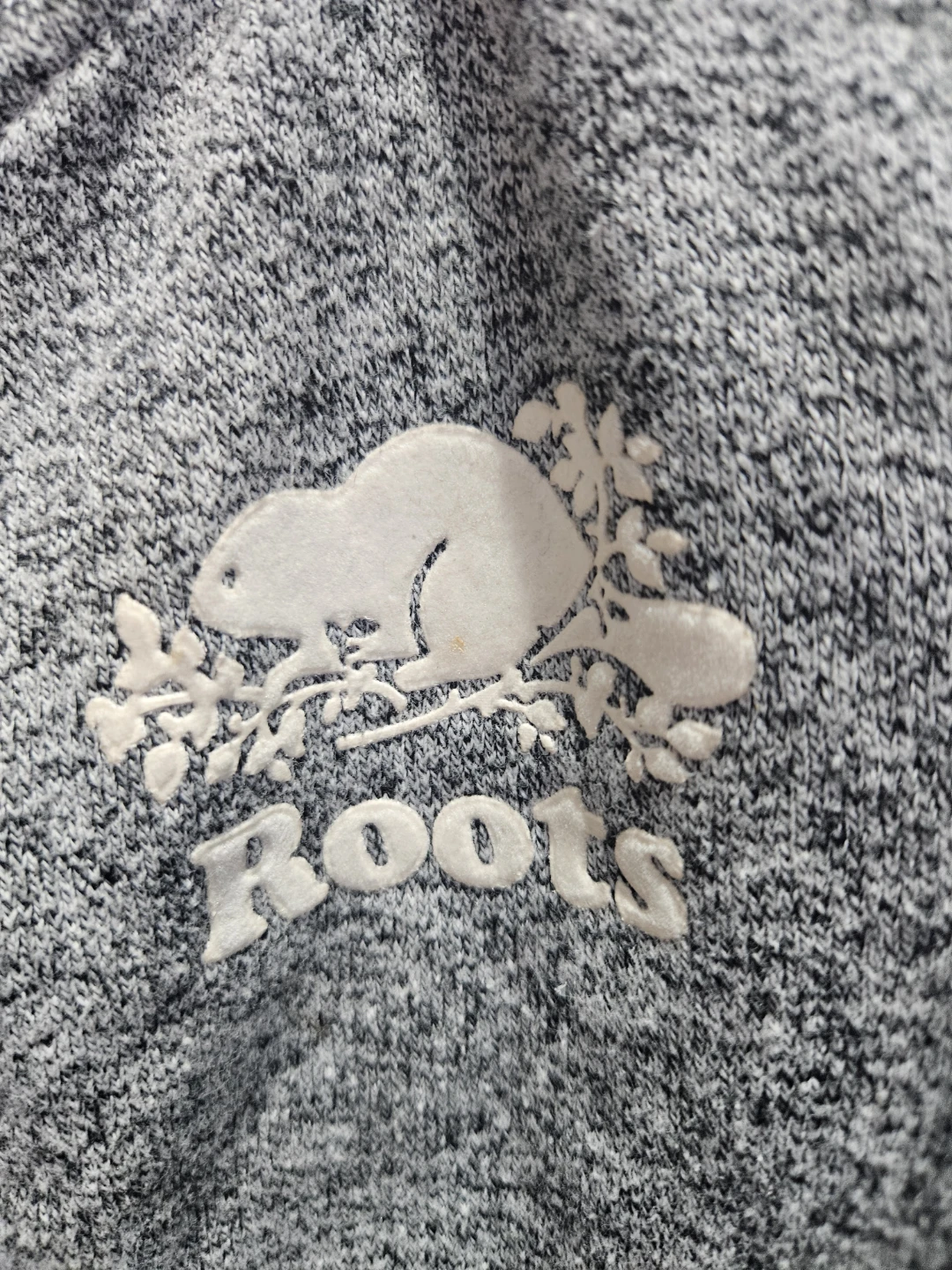Roots Kids Grey Zip-Up Hoodie - photo 2