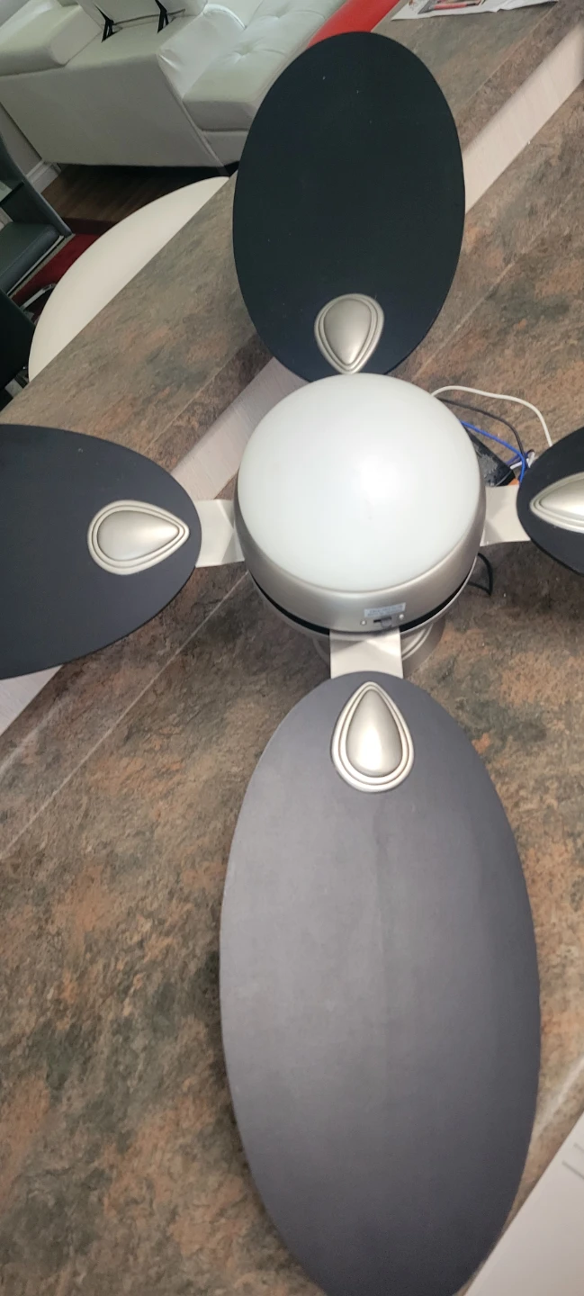 Ceiling Fan with Light Fixture