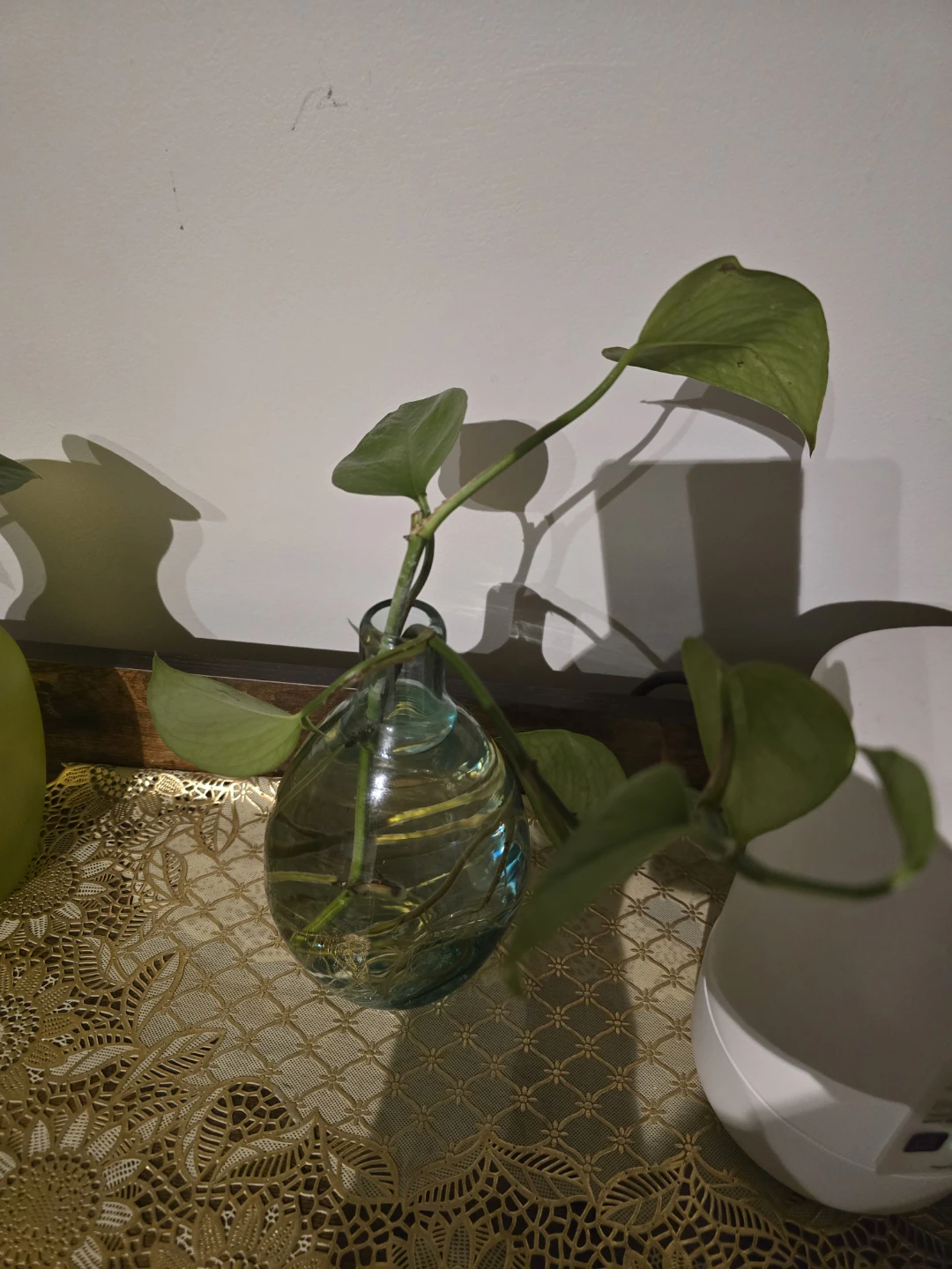 Original plants - photo 2