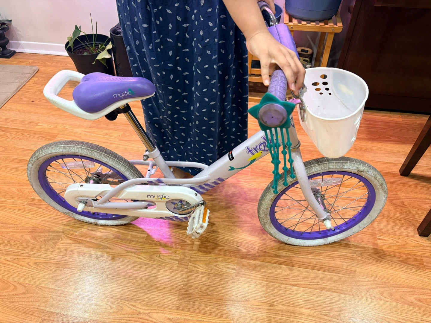 Mystic Kids Bike 16 inch