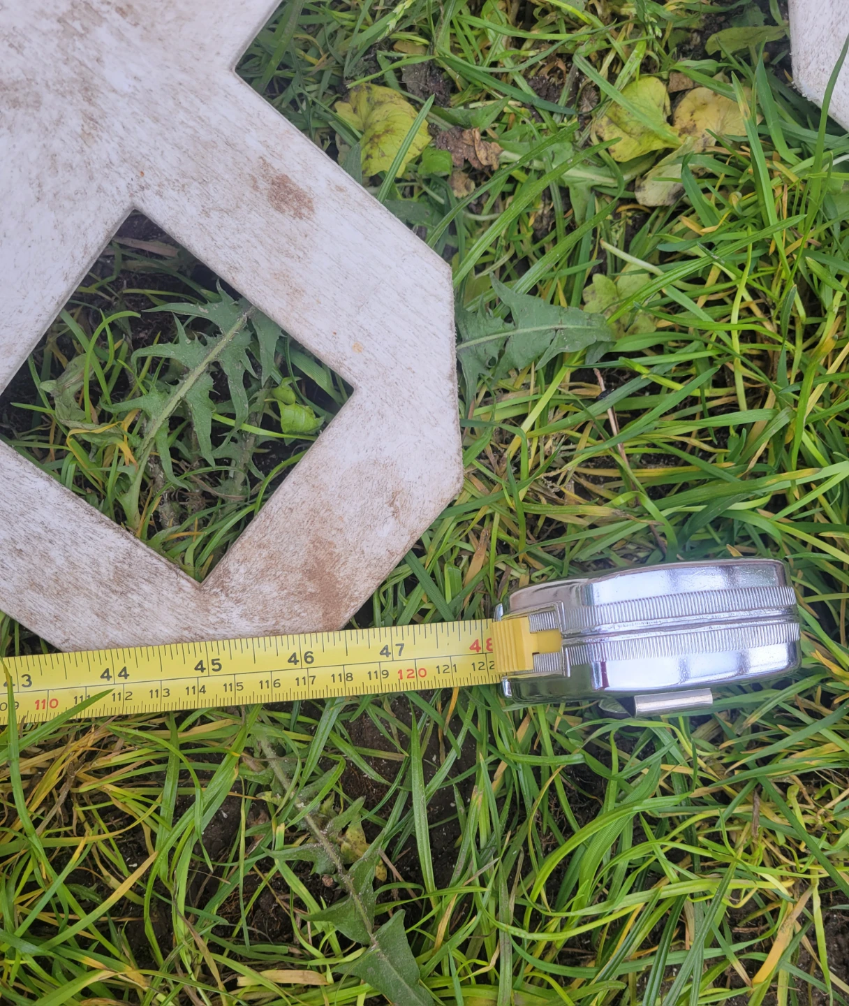 Plastic Lattice - photo 3
