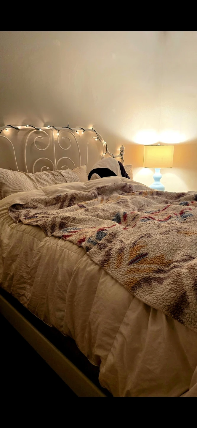 Ikea Liervik Queen-size Iron Bed - White
