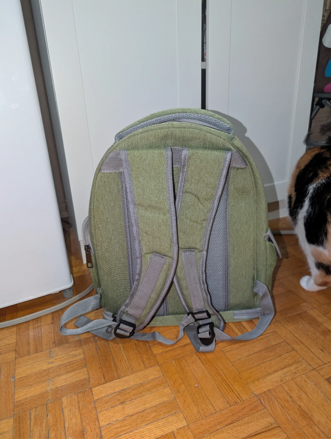 Cat Backpack - photo 3
