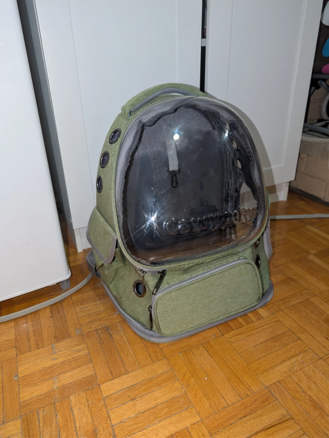 Cat Backpack