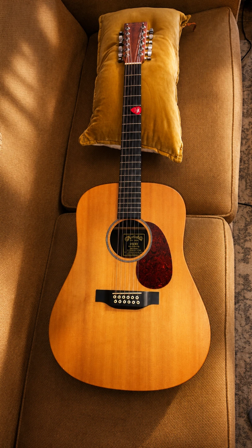 Martin & Co. D12X1 12-String Acoustic Guitar