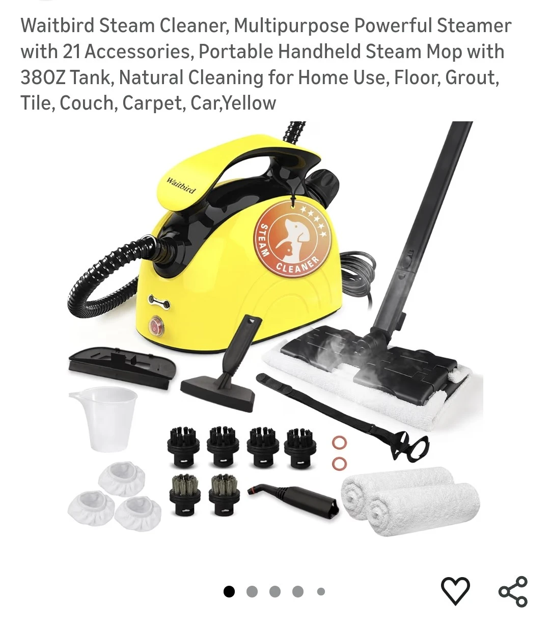 Waitbird Portable Handheld Steam Cleaner with 21 Accessories