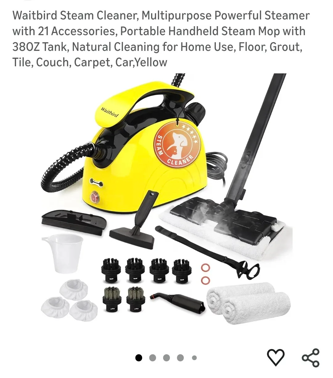 Waitbird Portable Handheld Steam Cleaner with 21 Accessories