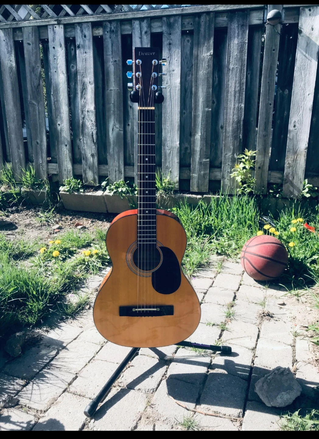 Denver Acoustic Guitar