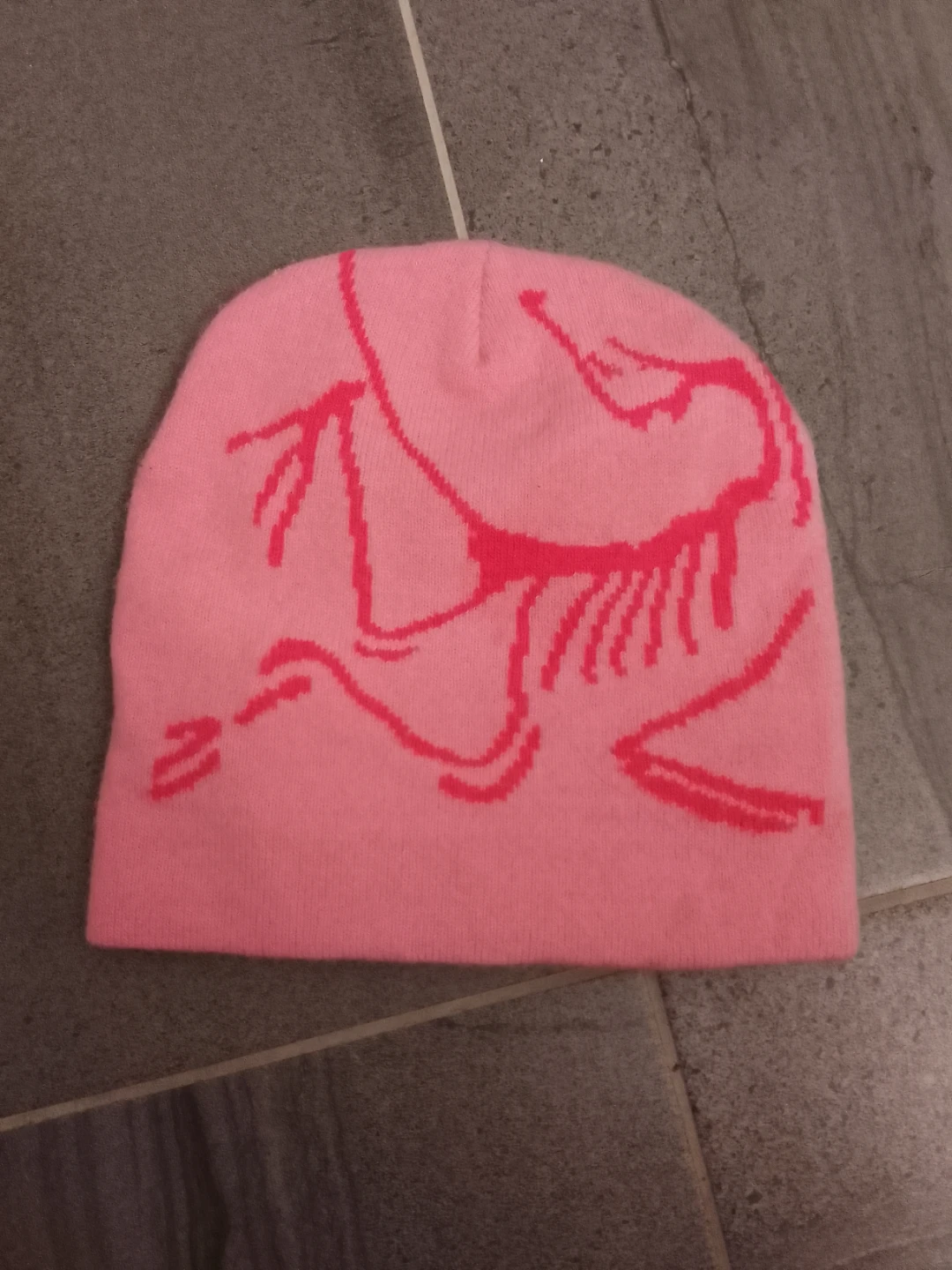 Arc'teryx Pink Beanie
