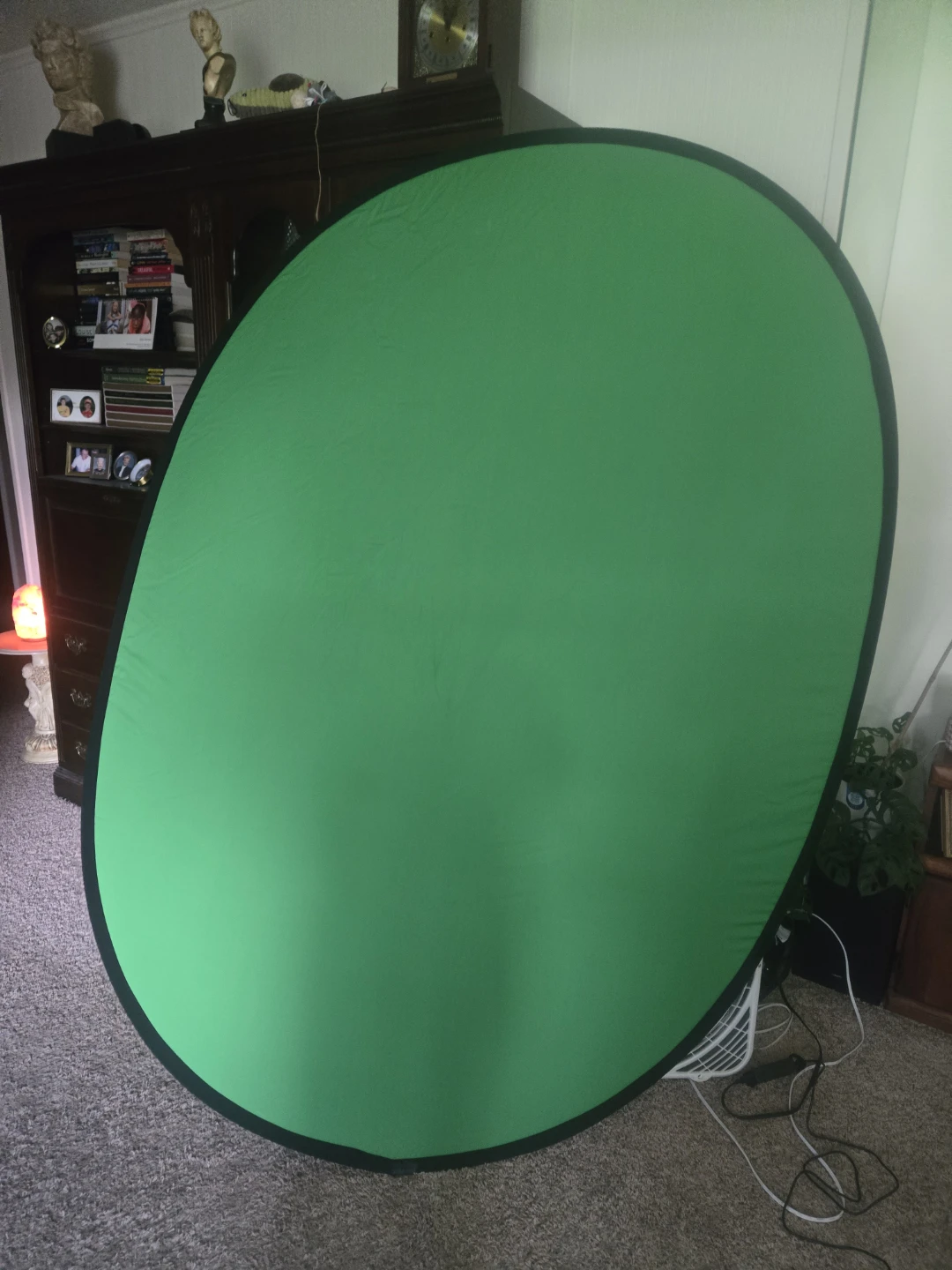 AFHT Pop-Up Collapsible Backdrop (Green/Blue) - photo 4