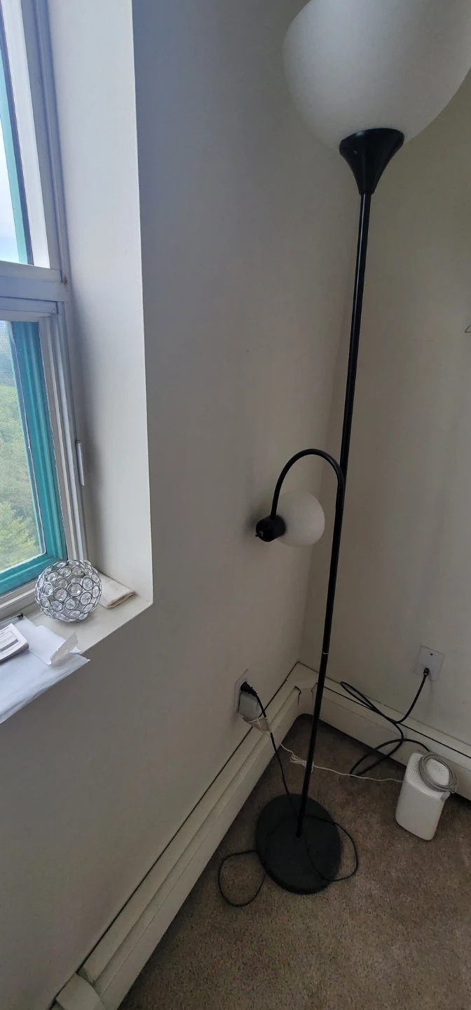Black Floor Lamp with Reading Light