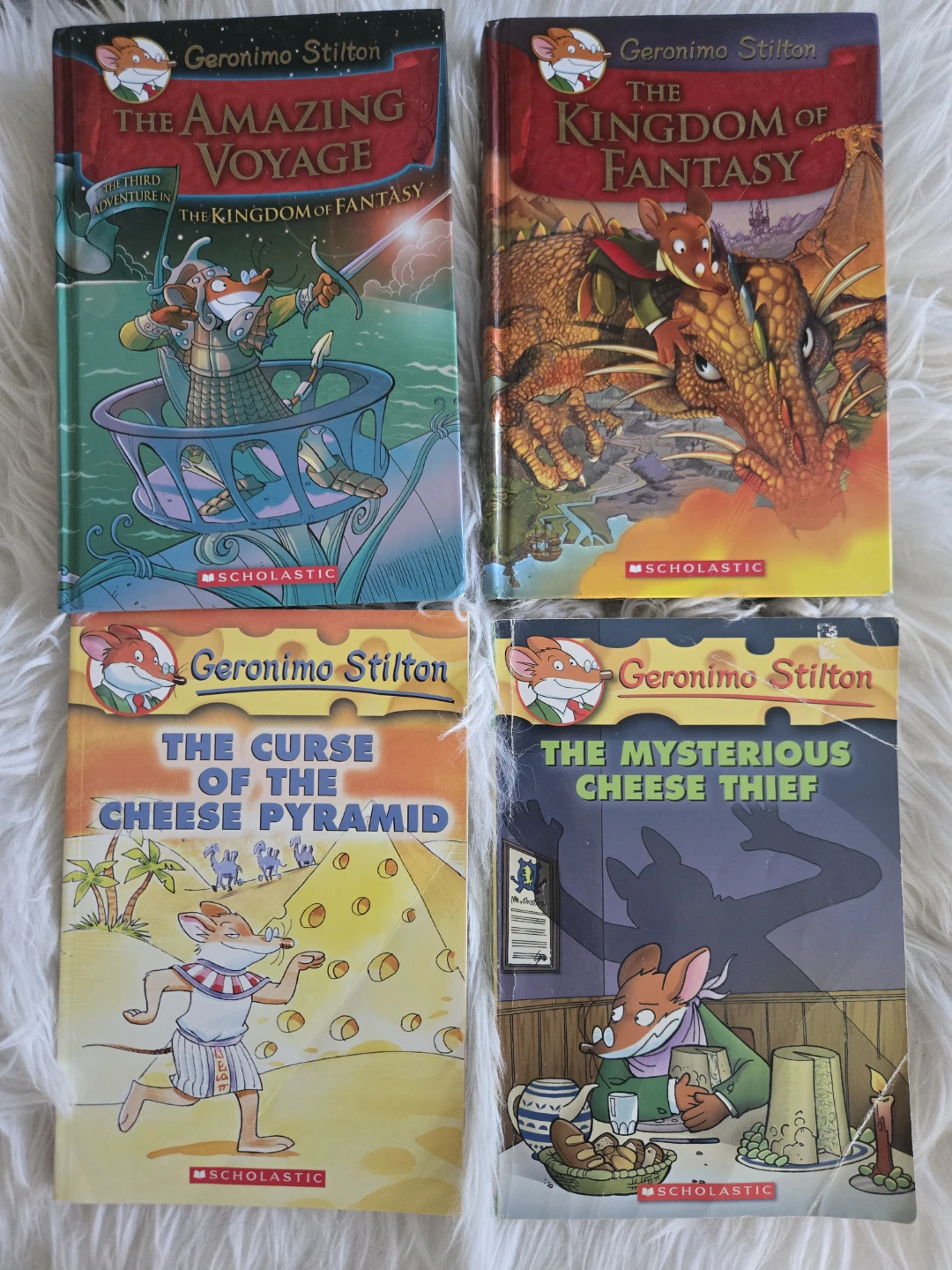 Geronimo Stilton Books