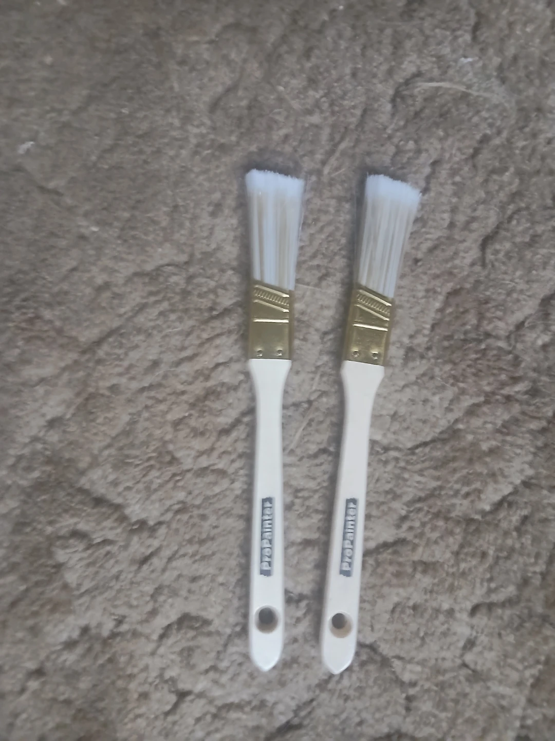 Pro-Painter Paint Brushes - 2 Pack