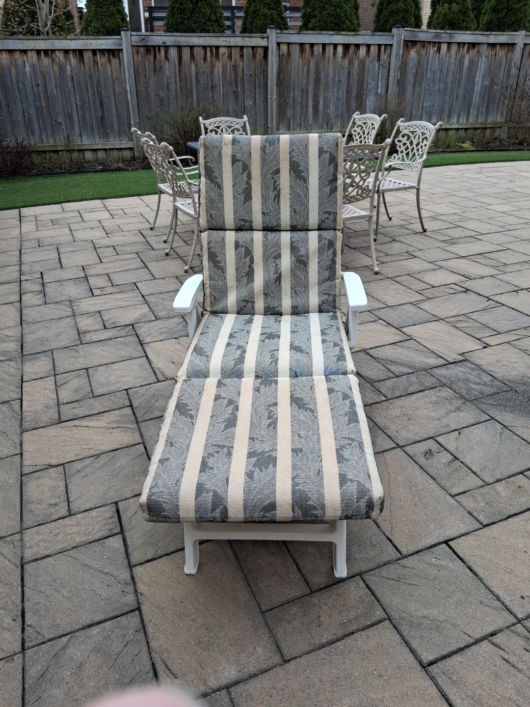 Chaise Lounge Cushion - photo 3