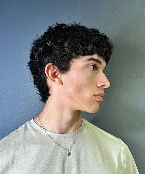 Mod Cut - photo 2