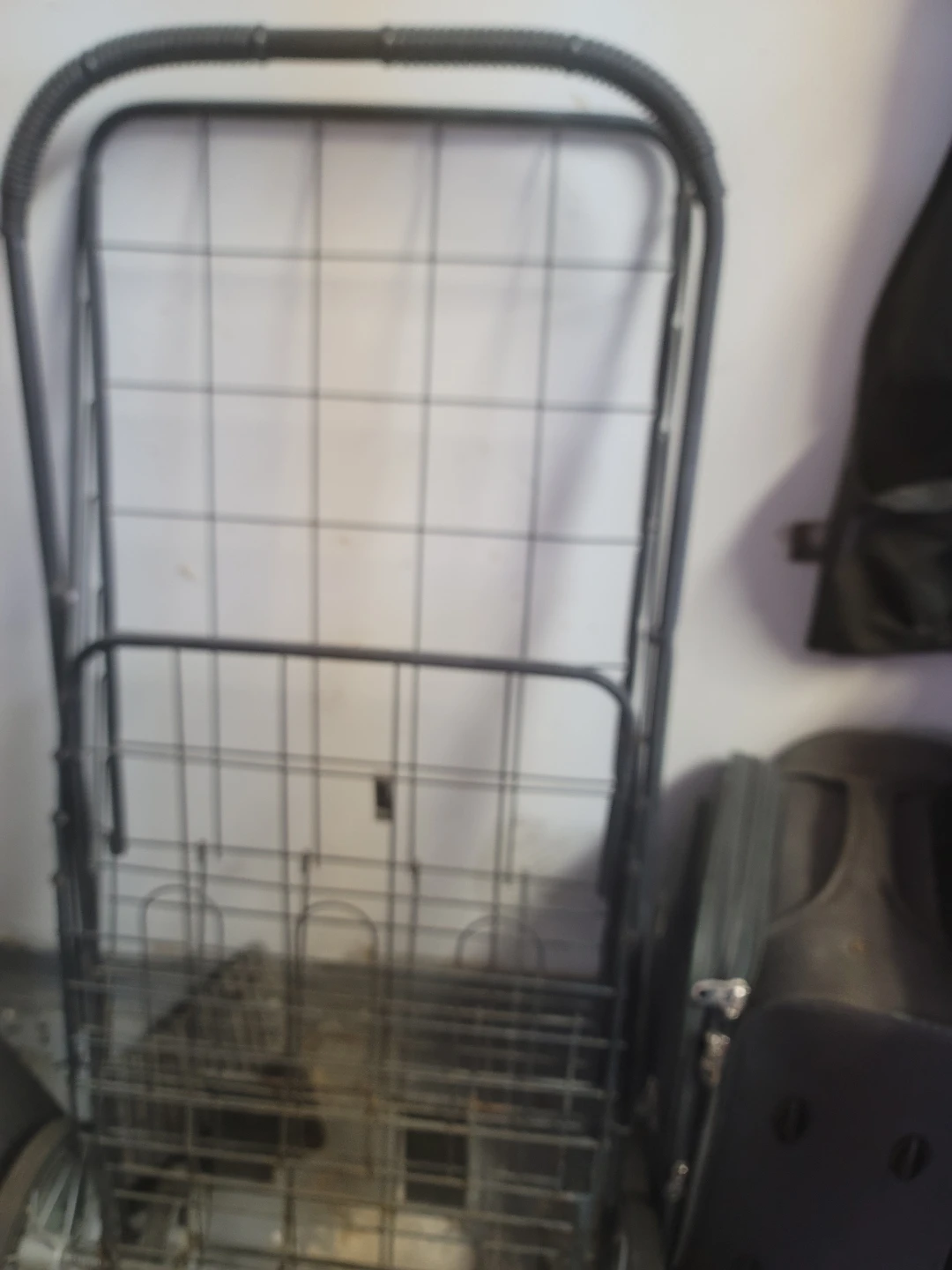 Folding Shopping Cart