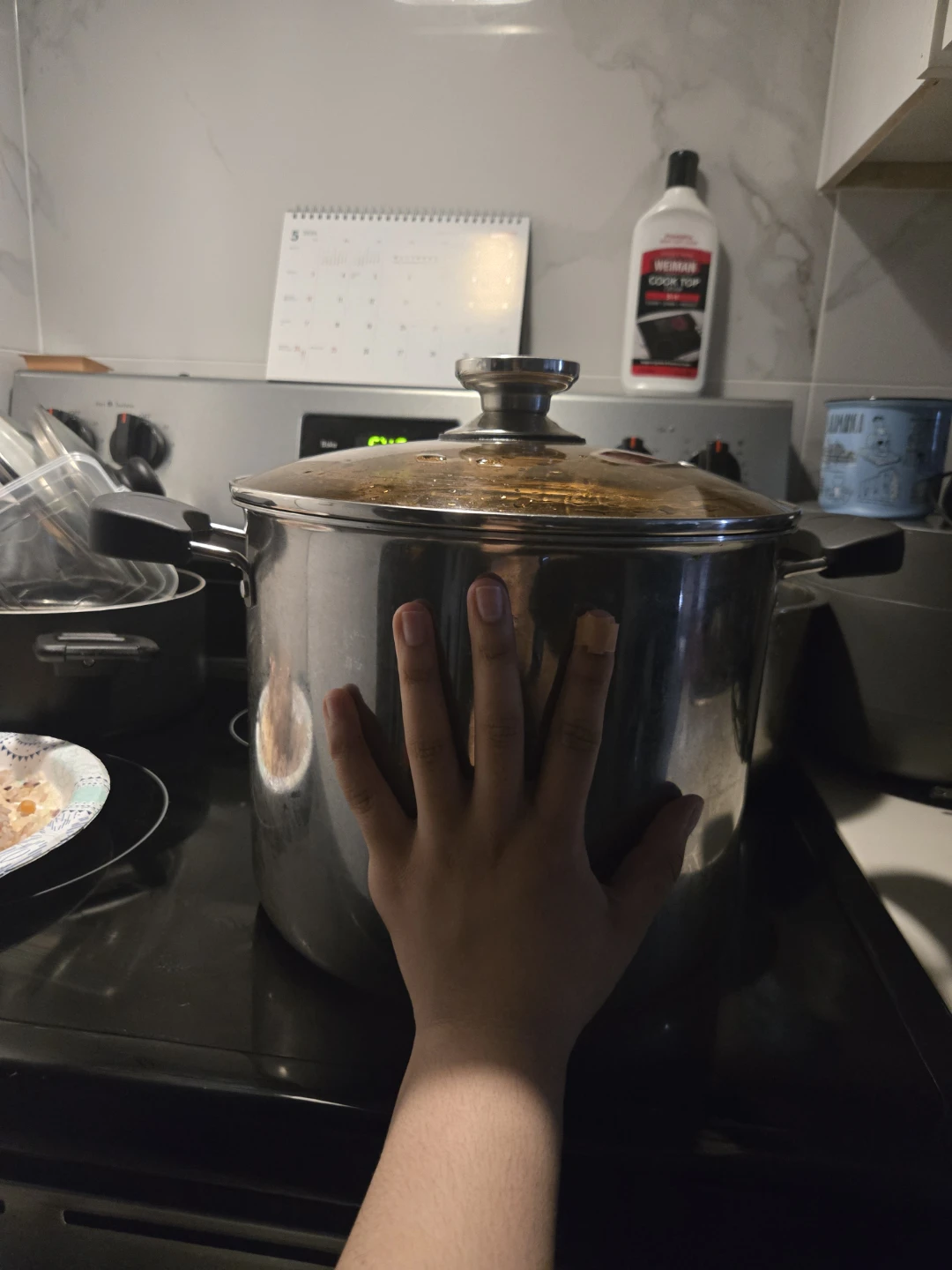 Large Stainless Steel Stock Pot - 12 Quart - photo 2