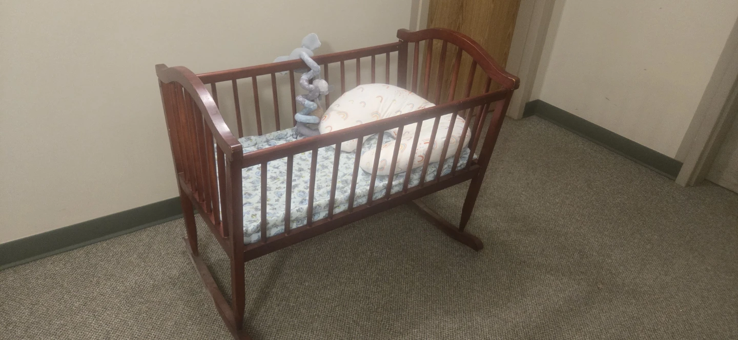 Bassinet/Nursing Pillow/ Baby Bath