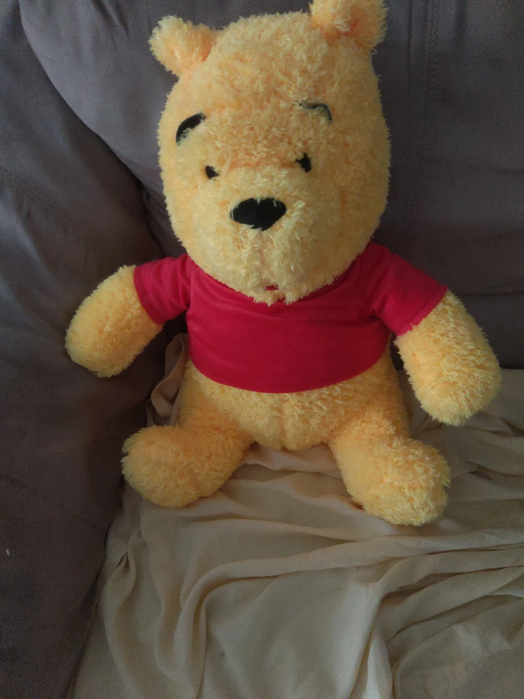 Winnie the Pooh Plush Toy