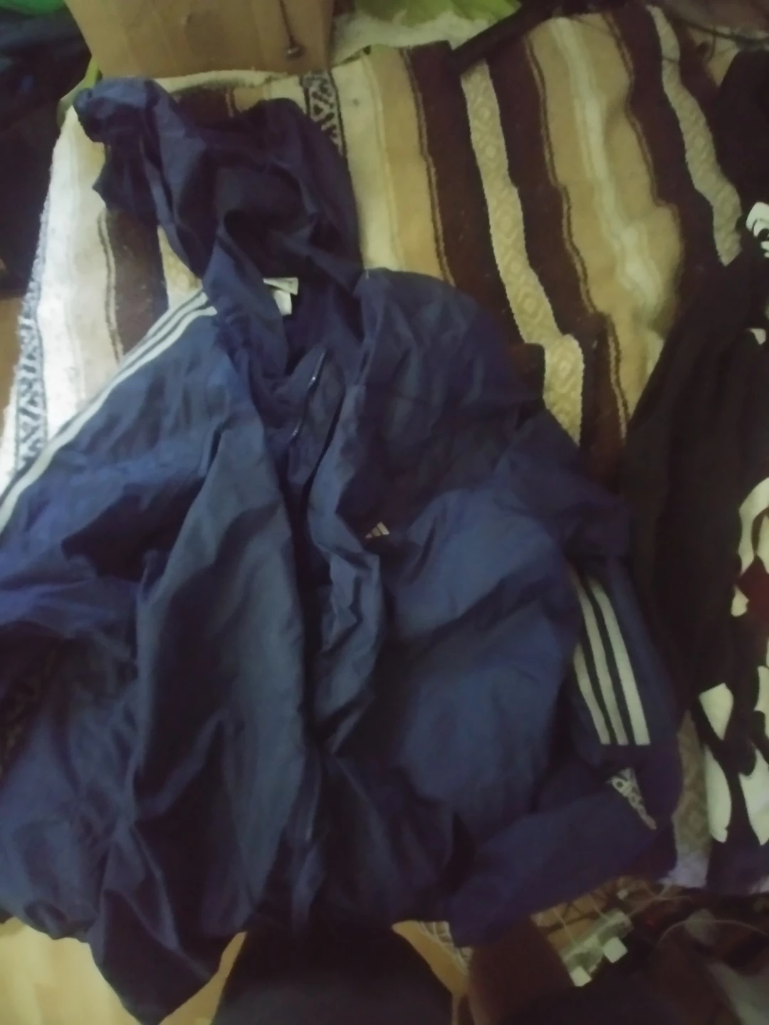 Adidas Blue Track Jacket & Graphic Noomie Zip-Up Hoodie - photo 2