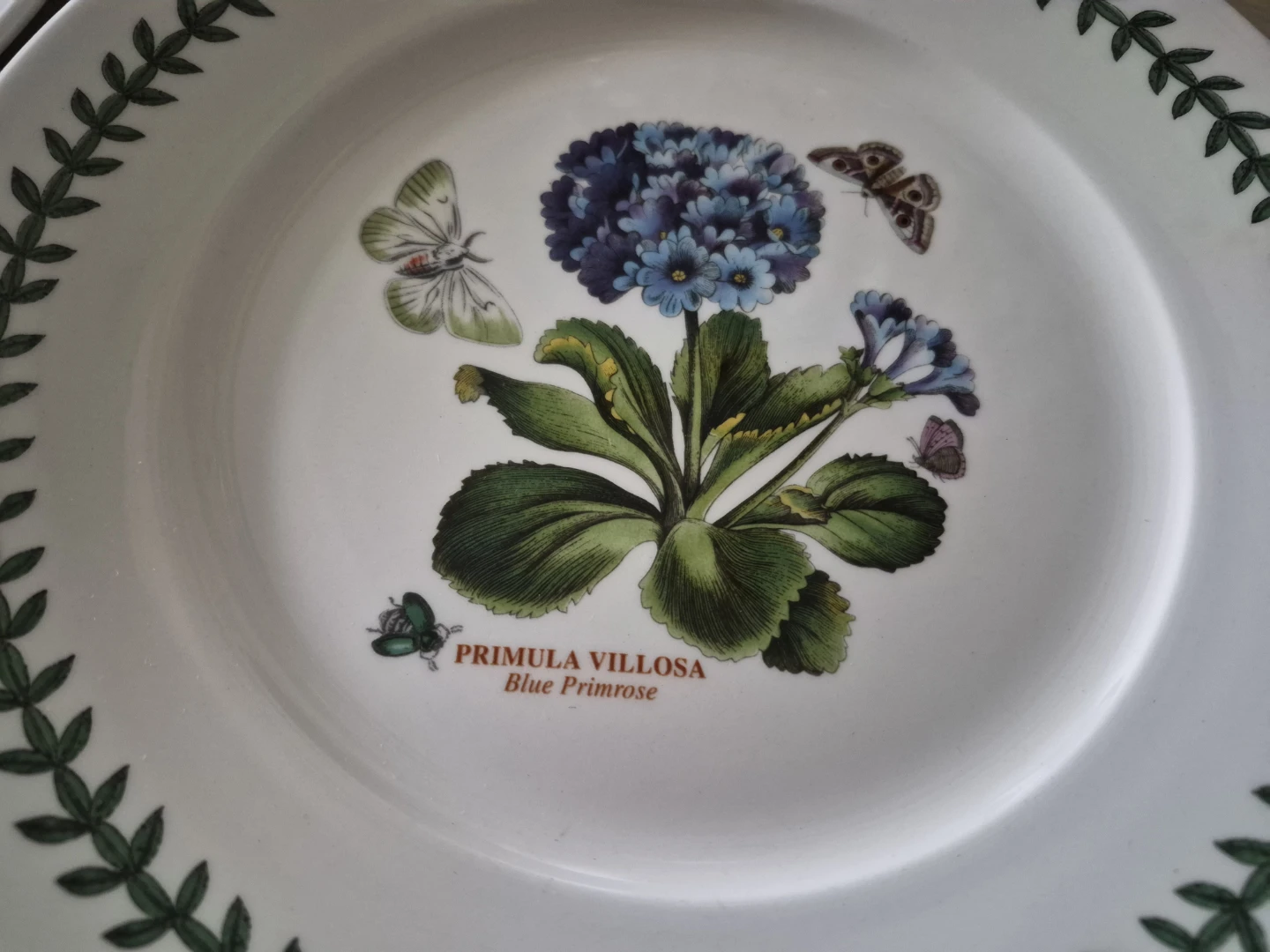 Portmeirion Botanical Garden Plates Set - photo 3
