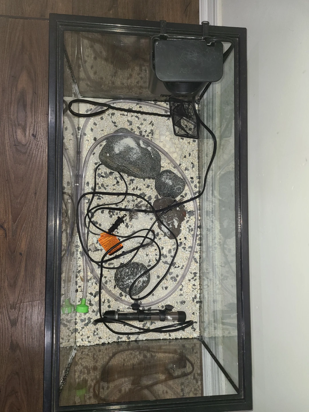 Used Aquarium Setup with Filter and Heater - photo 4