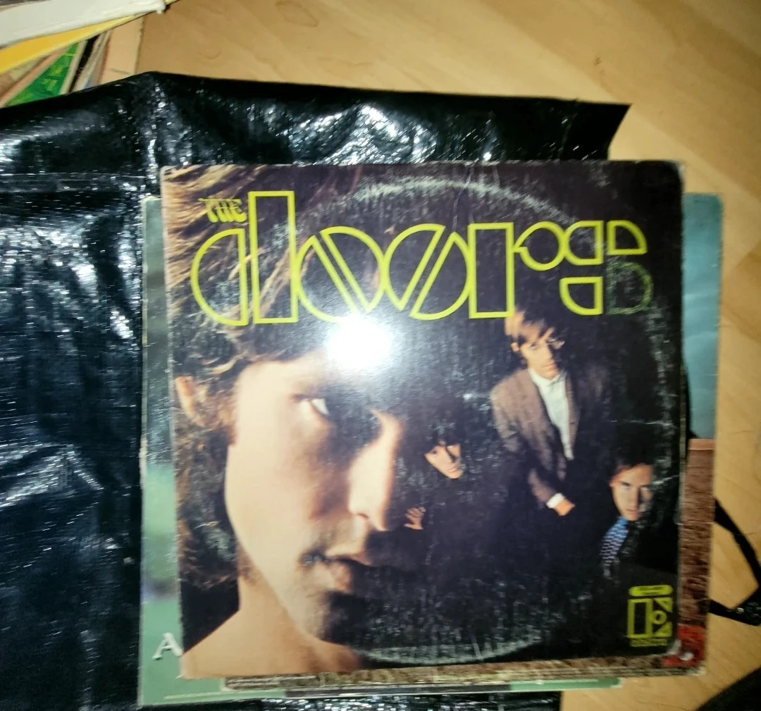 The Doors "The Doors" Vinyl Record