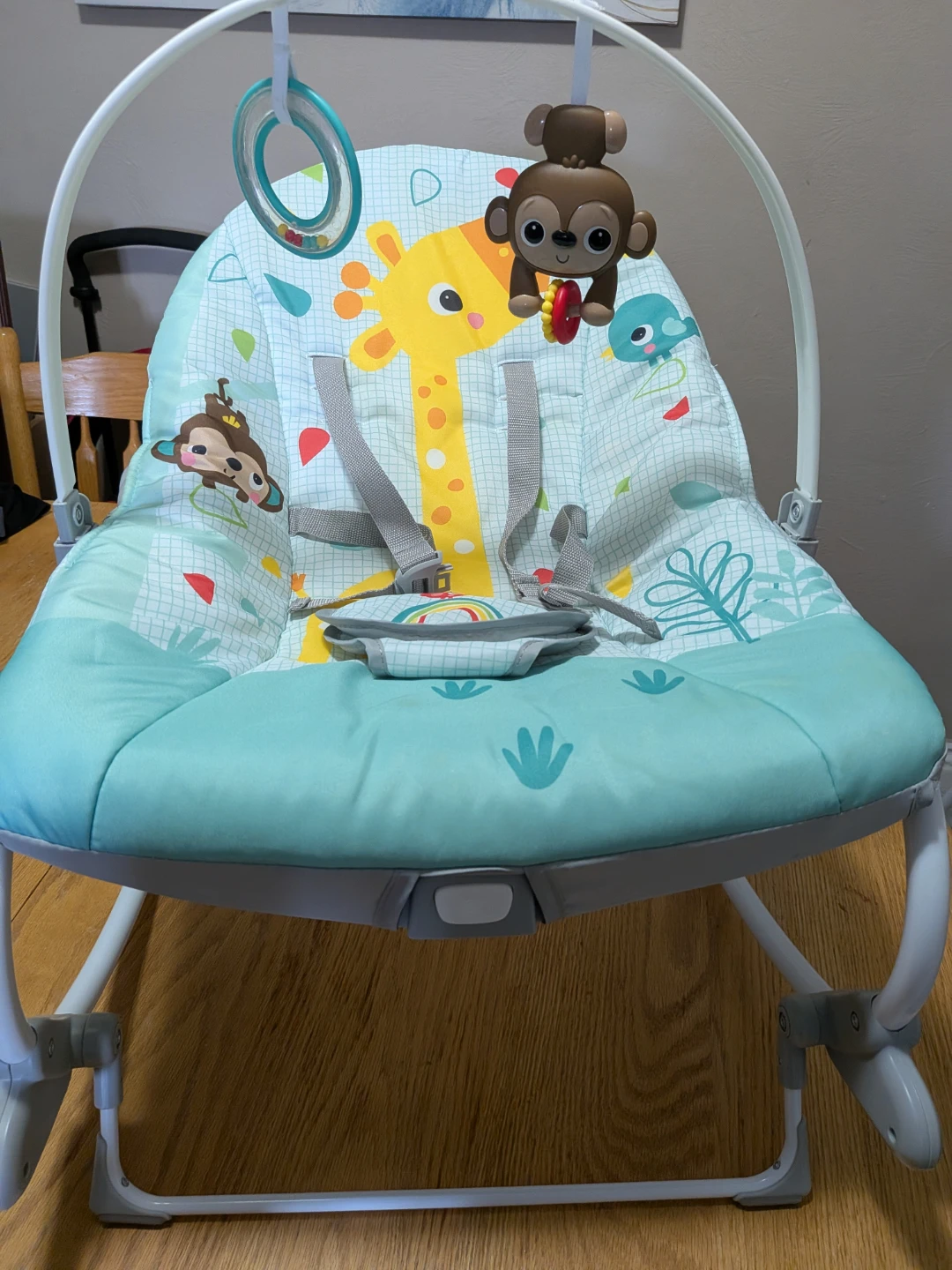 Infant to Toddler Rocker
