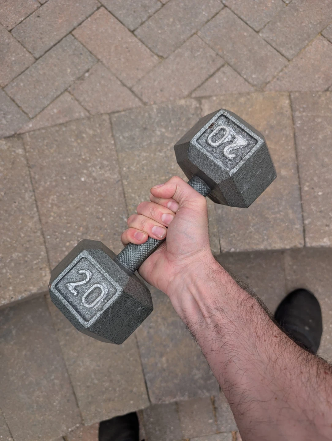 20lb Hex Dumbbell