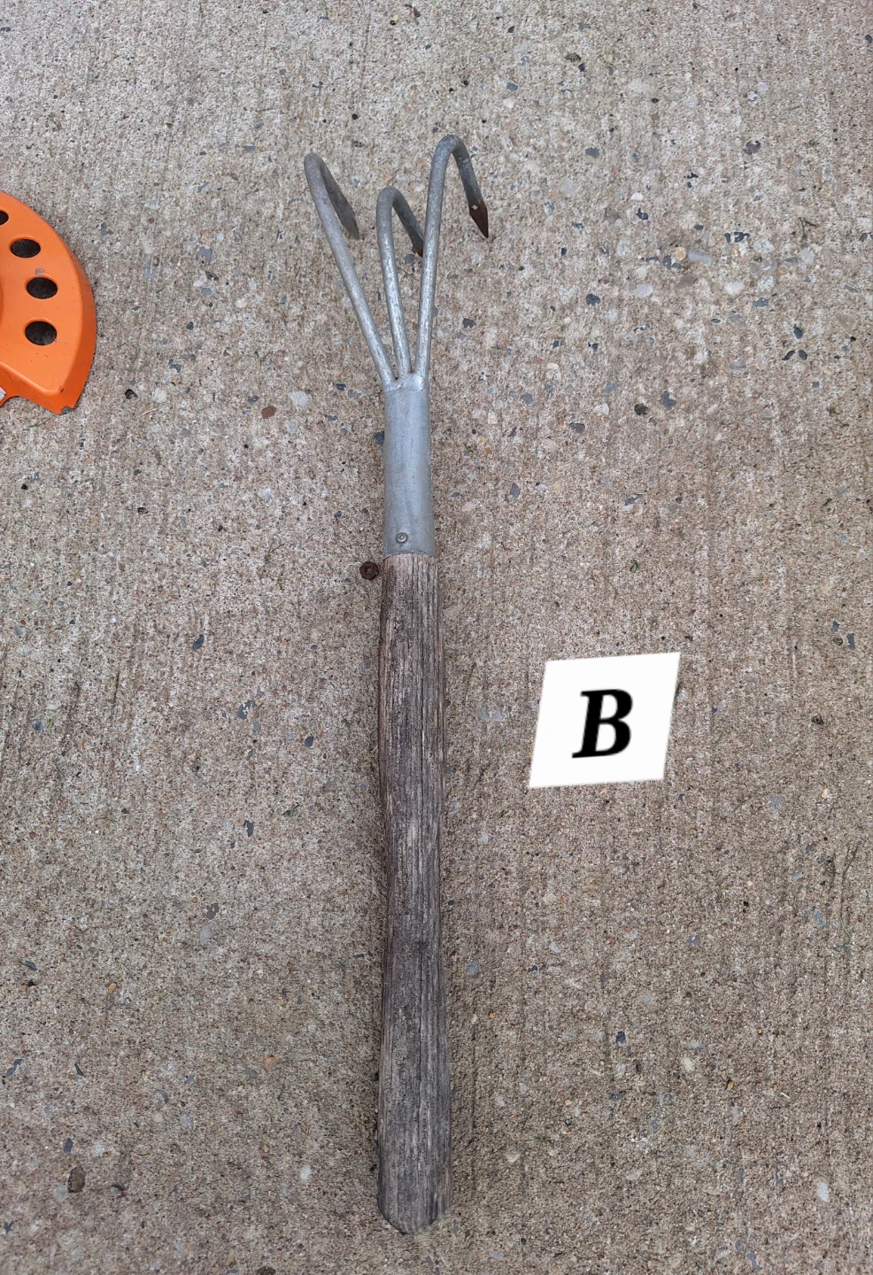 Free Garden Stuff - photo 2