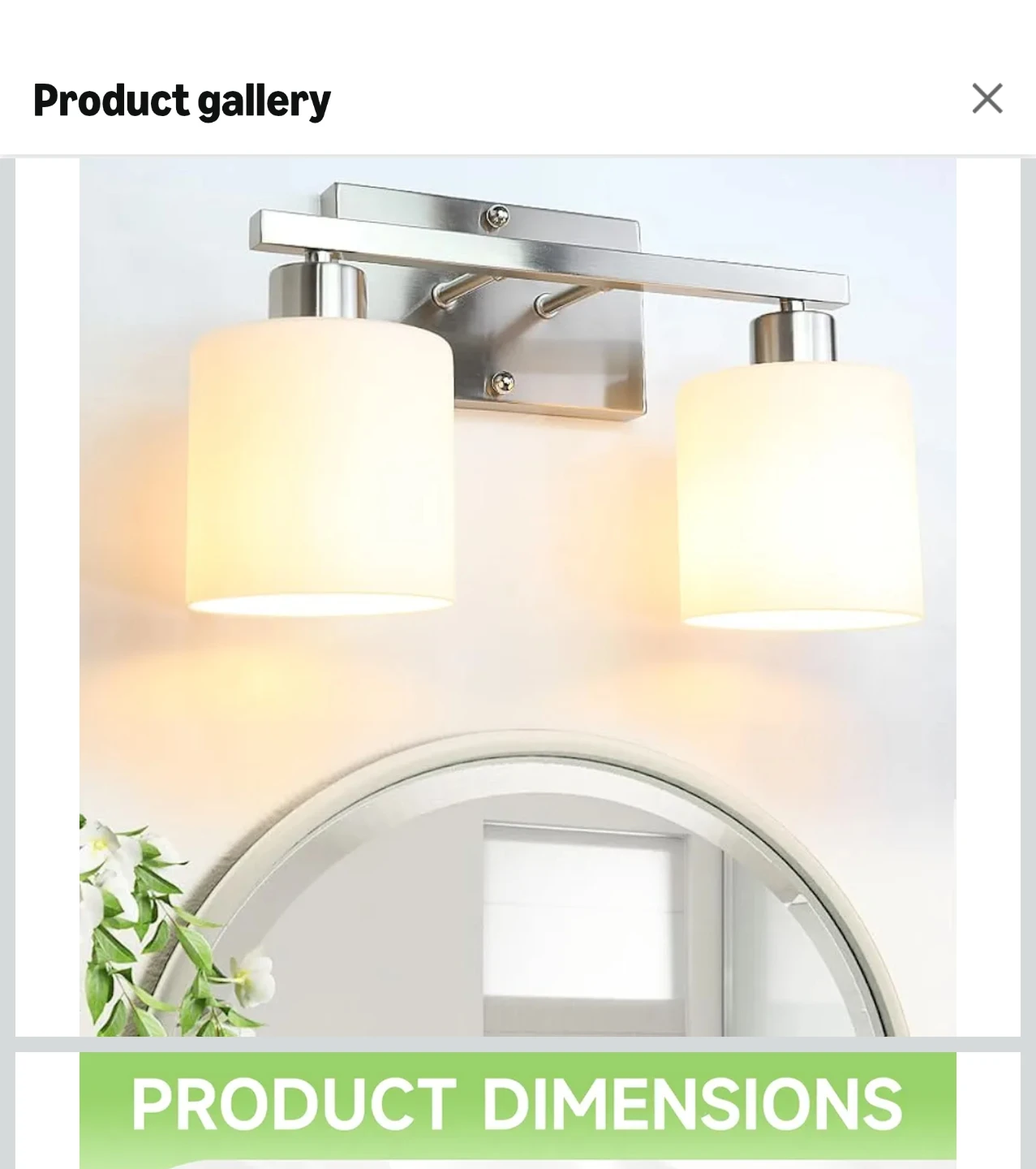 2-Light Vanity Light Fixture with White Glass Shade
