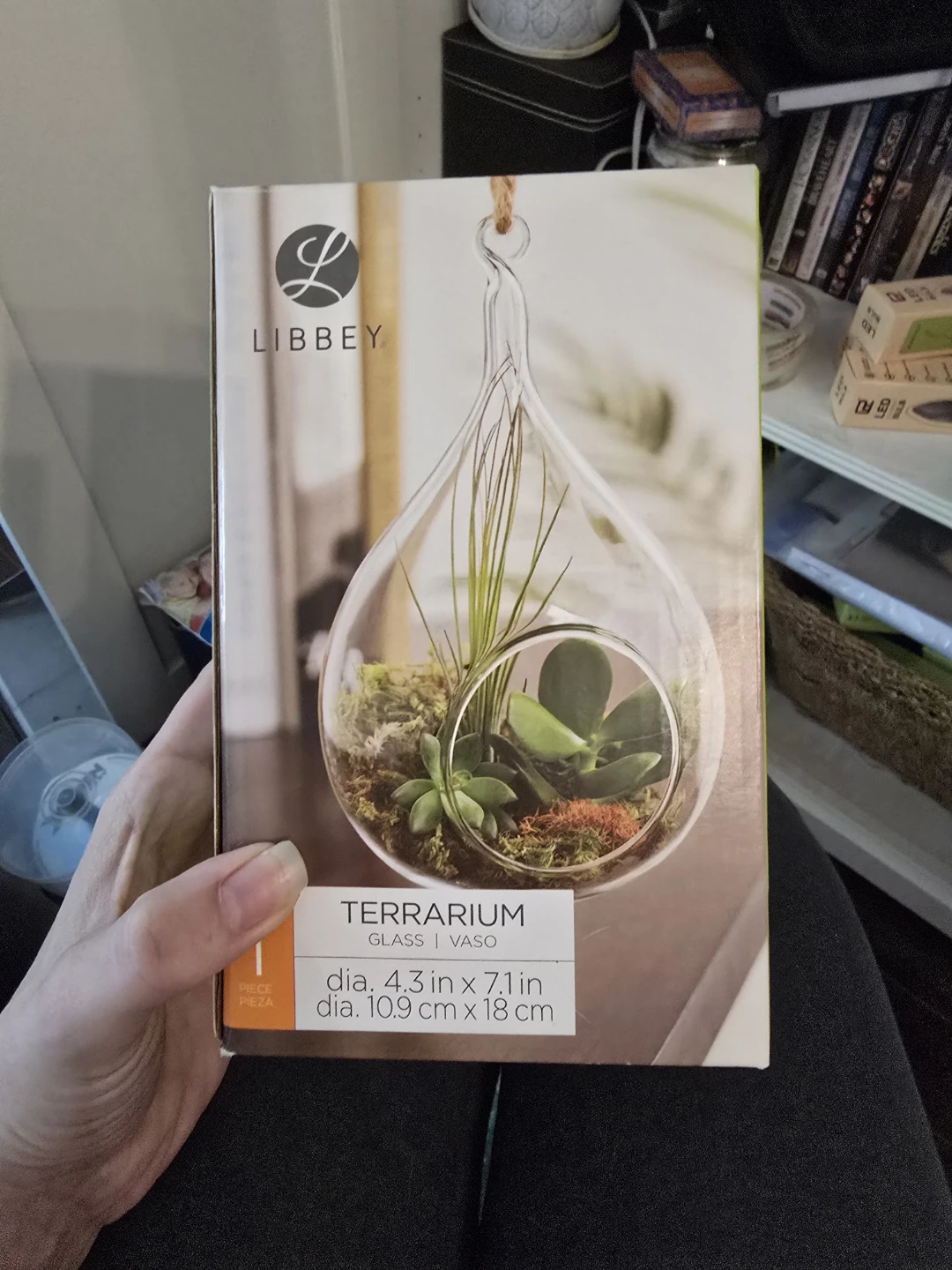 Libbey Glass Hanging Terrarium Vase 4.3" x 7.1"