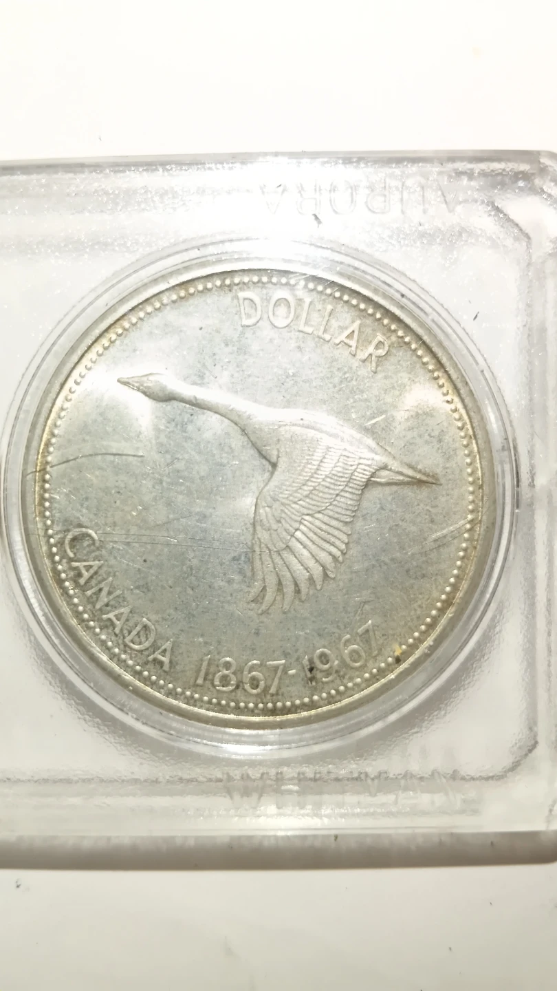Looking to pay or trade