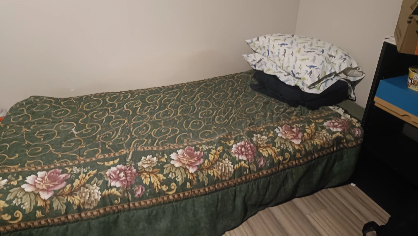 FREE SINGLE BED WITH FRAME, BLANKETS AND PILLOWS