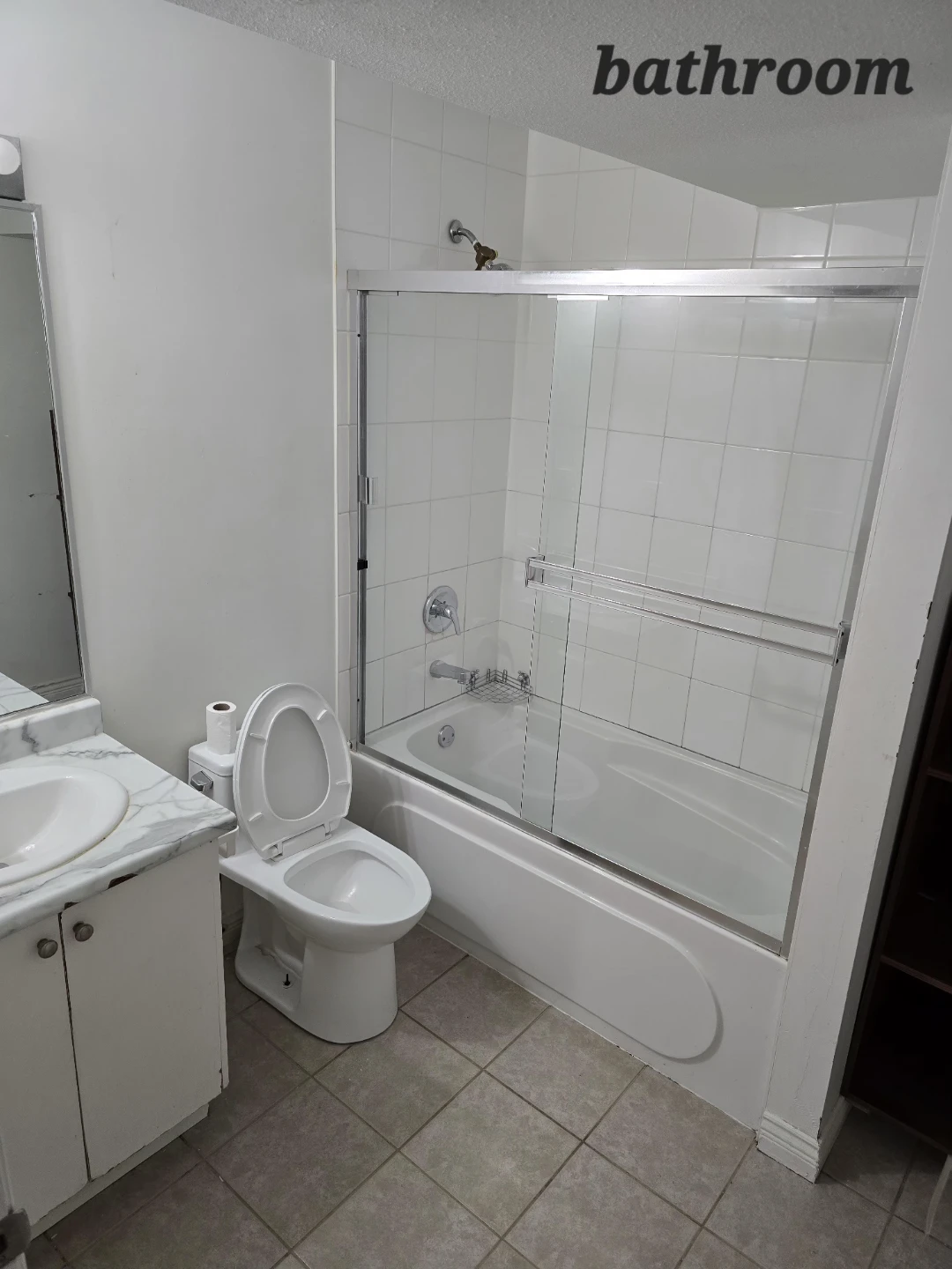 3 Bedroom Basement Suite for Rent - photo 4